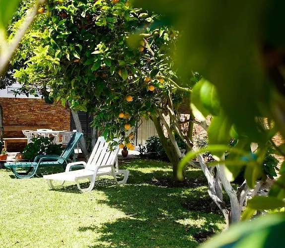 Gasthuis Casa Do Avo Horacio