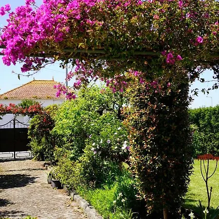 Casa Do Avô Horácio Viana do Castelo