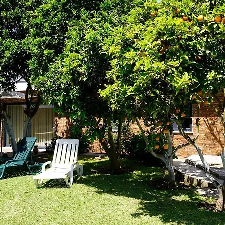 Casa Do Avo Horacio *