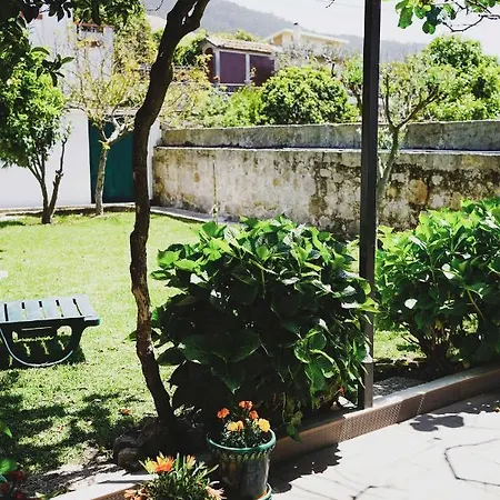 Casa de hóspedes Casa Do Avô Horácio Viana do Castelo