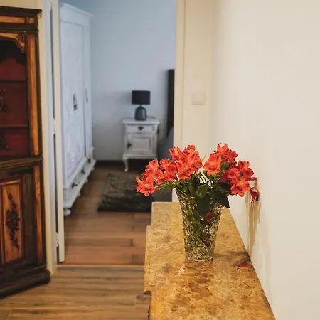 Casa Do Avô Horácio *