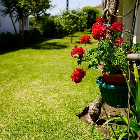 Casa de hóspedes Casa Do Avô Horácio