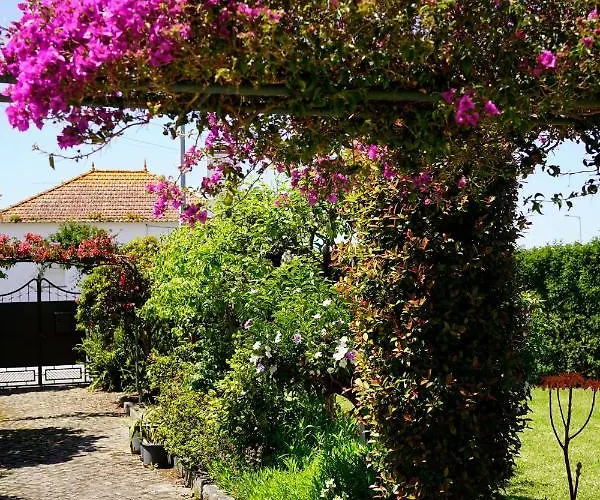 Casa Do Avo Horacio Виана-ду-Каштелу