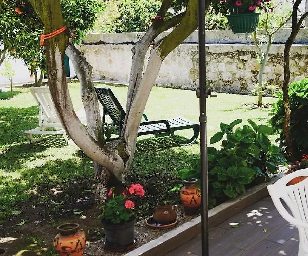 Гостевой дом Casa Do Avo Horacio