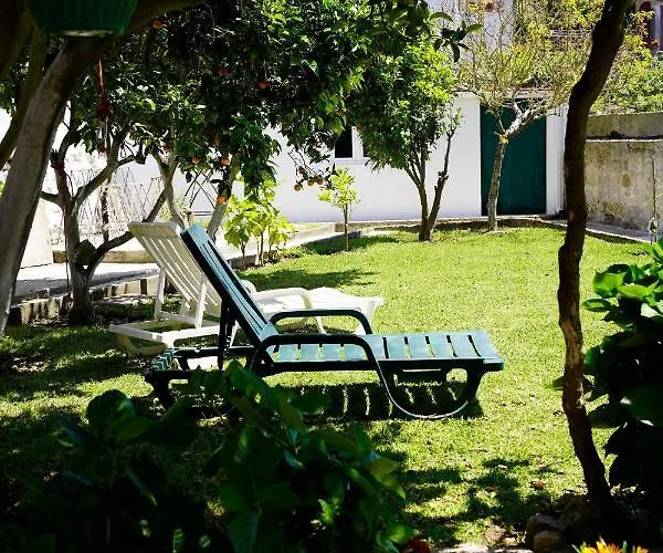 Casa Do Avô Horácio *