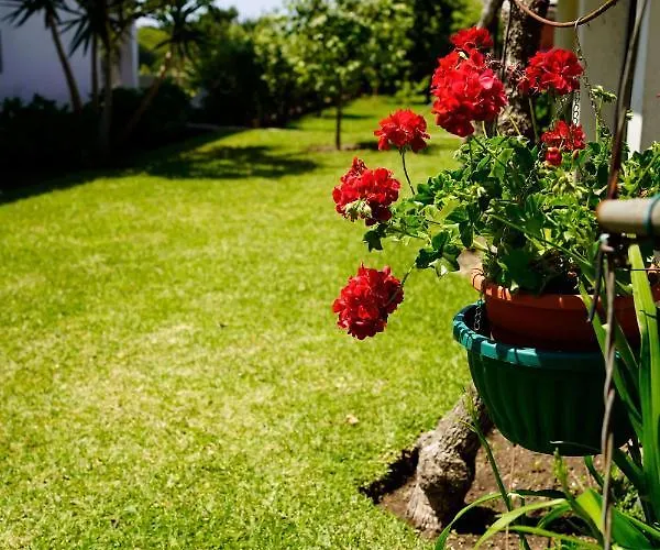 Penzion Casa Do Avo Horacio