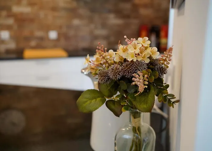 Гостевой дом Casa Do Avo Horacio Виана-ду-Каштелу