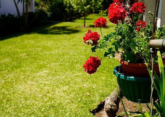 Affittacamere Casa Do Avô Horácio